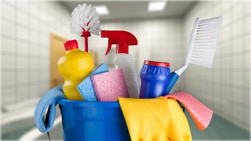 Carpet cleaning team sorting recyclable waste in Wimbledon