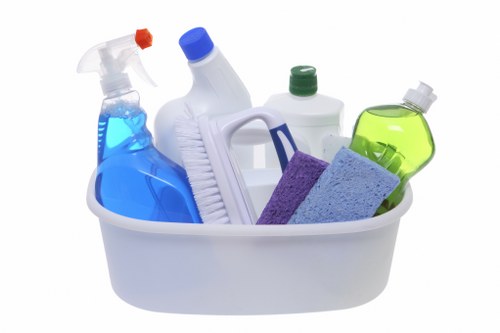 Steam carpet cleaning equipment in a Wimbledon home
