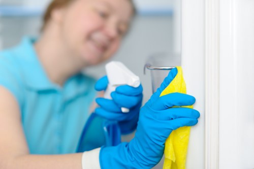 Odour neutralisation process for pet stain removal in Wimbledon