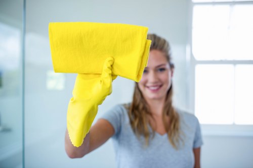 Carpet cleaning equipment used in a Wimbledon property