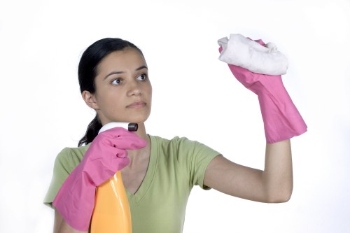 Pet stain and odour cleaning for Wimbledon homes and upholstery