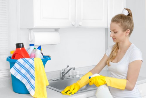 Local Wimbledon pet stain odour removal service for fresh interiors